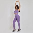 Conjunto Fitness sem Costura Nadador Roxo CO429